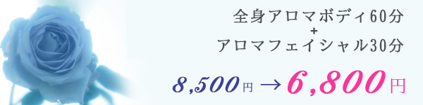 初回お試し価格